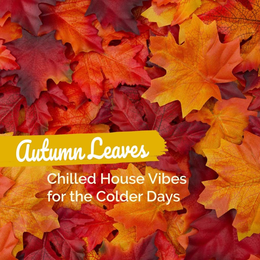 Thomas Alexander Kolbe’s DIEDA featured on “Autumn Leaves” Compilation by Choooose Records New York