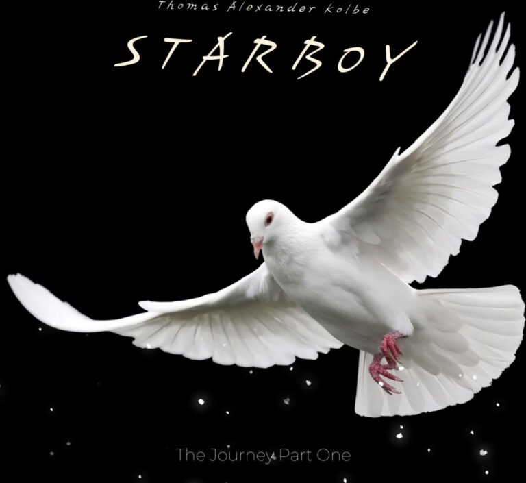 Starboy The Journey Part One Cover